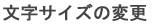 文字サイズの変更